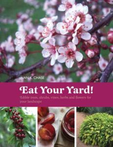 Edible Roses: Beautiful and Delicious Garden Features Image